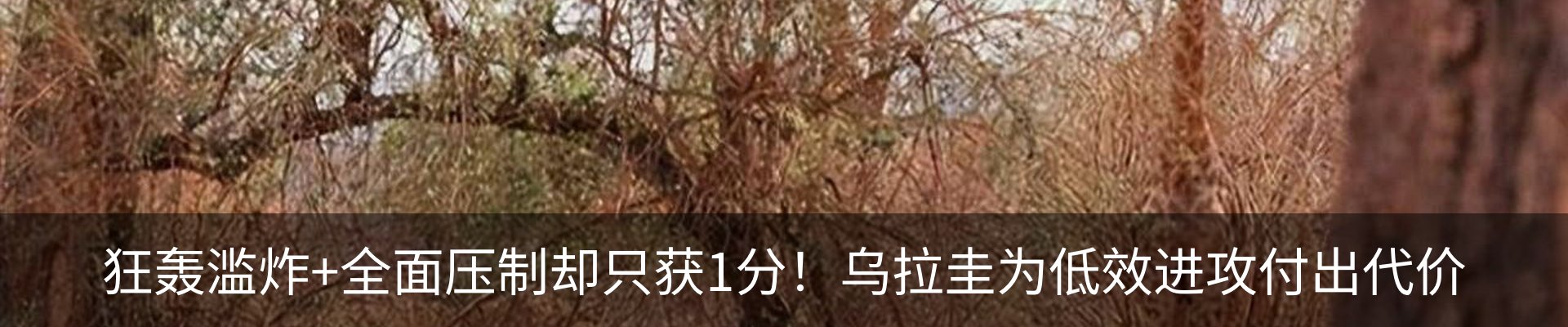 行业资讯