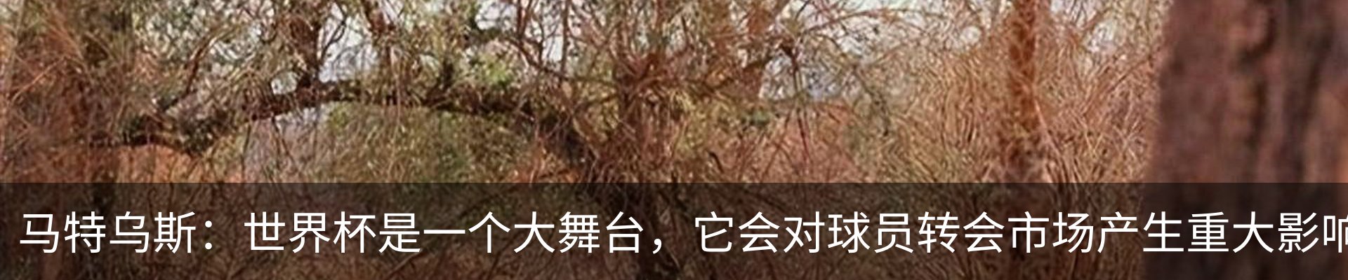 行业资讯